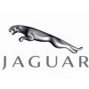 JAGUAR - jaguar.png