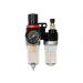Air & Water Filter With Reducer 1/4'